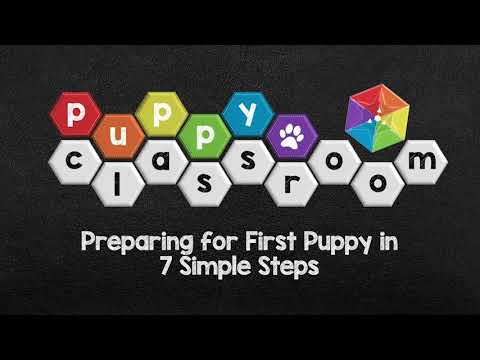 Factor VII Deficiency (FVII)