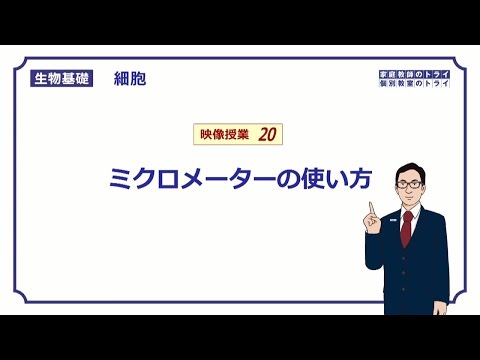 カンパニア州の旗.svg
