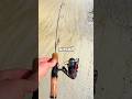 I Tested A TINY Fishing Rod Fishing