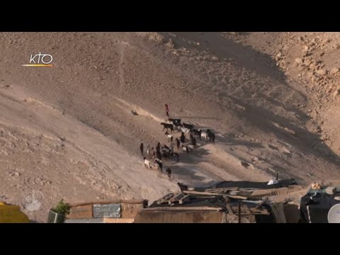 Terra Santa News du 11 juin 2018