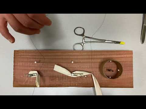 Tutorial: End-to-End Vascular Anastomosis