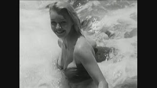 Obsidian Kingdom - Black Swan (Official Video)