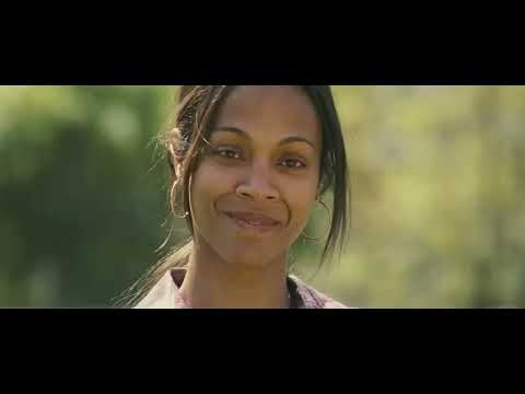 Trailer montage of bridges, woods, and a boxing shed — visual anchors for the score cues listed above