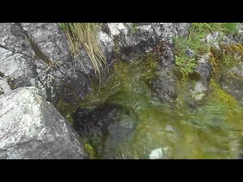 Këtu buron lumi i Currajve të Epërme