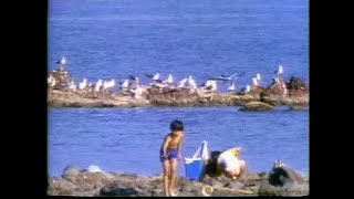 Download lagu SI DARA JELITA - M. SHARIFF mp3