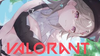 【 VALORANT 】バーロー です【 ぶいすぽっ！ / 小森めと 】