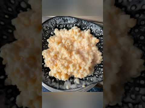 ¿Como saber cuándo mi cultivo de Búlgaros está contaminado?💗 ¿Tiene solución? 😢 ¿Que puedo hacer?💞