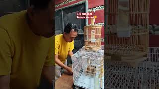 Download lagu well absorbed mp3