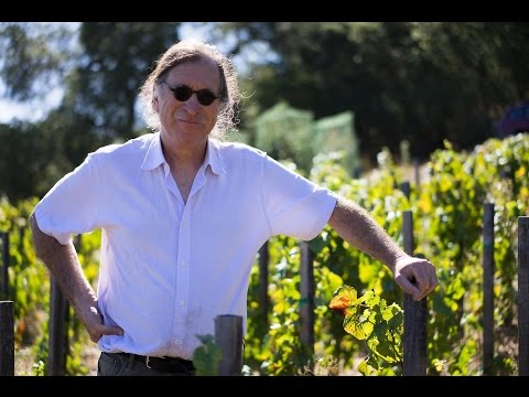 Bonny Doon Picpoul 2023 :: Other White Wines