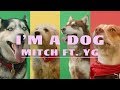 Mitch I M A Dog Ft YG Official Music Video