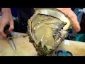 Japanese Street Food: Giant Oysters Japanese Street Food: Giant Oysters
