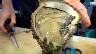 Japanese Street Food: Giant Oysters