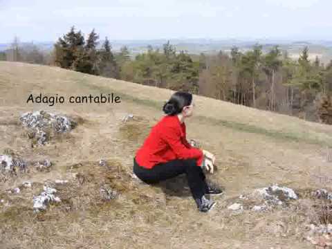 Rosetti - Sonate in F-Dur RWV E4: Adagio cantabile