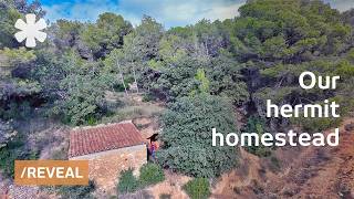 Hidden caves, stone hut & food forest: stealth homestead walkthrough