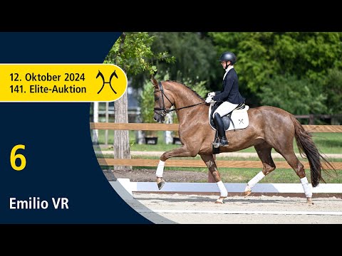 No. 6 Emilio VR by Escamillo - Fürst Heinrich | 141. Verden Elite-Auction on October, 12th