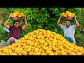 Mango Sheera Recipe Mango Kesari Summer Special Mango Dessert Recipe Grandpa Kitchen