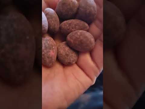 Skinny Dipped almonds #shorts #berrydusted #darkchocolate
