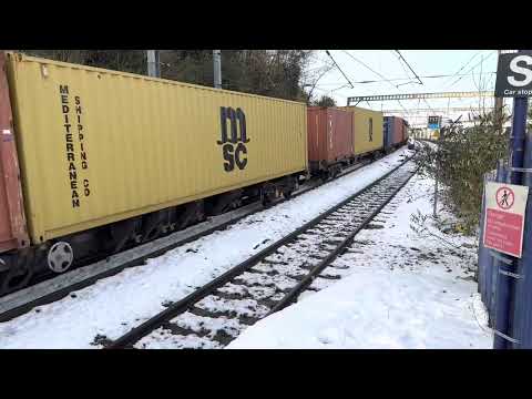 GBRf 66302 passing Harringay with a 4 tone