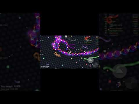 Cartoon Cat vs Cartoon Dig vs Siren Head Epic Slither.io Gameplay ¤