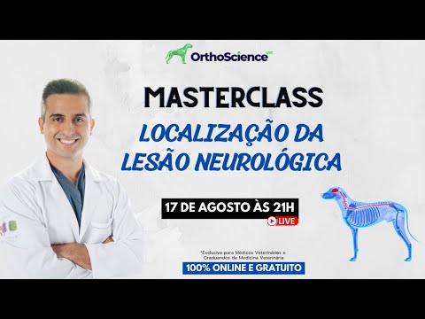 Masterclass - Localização da lesão neurológica