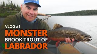Fly Fishing Journeys "Monster Brook trout of Labrador"