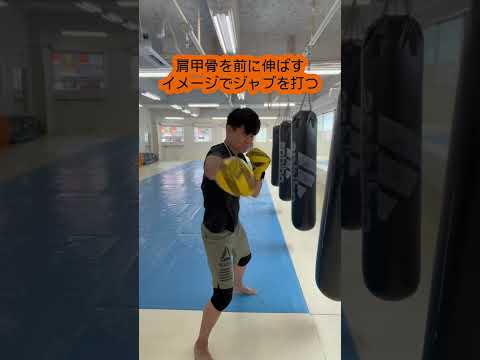 フリッカージャブ #キックボクシング #格闘技 #ミット打ち #ミット #体操 #若い頃 #60歳代