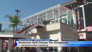 Restaurant Report Card - American Grill