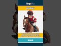 jockey (noun) - definition and usage in English