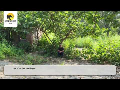 Global Wildlife Fair 2025