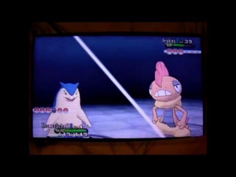 Let´s Play Pokemon Y Egglocke Part 41 verdammter MIST