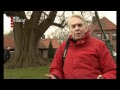 Ooievaarsnest in oudste boom Midden-Nederland