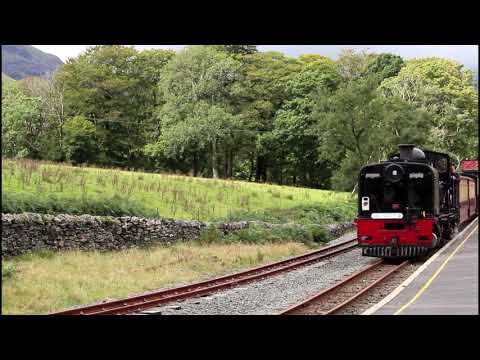 Re opening after 2021 lockdown