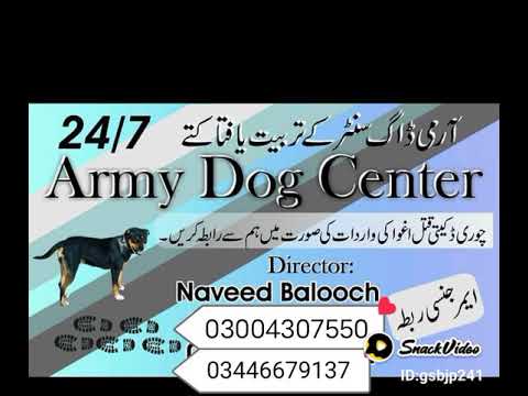 armydogcenterokara
