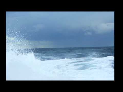 Relaksacija / Opustanje / autogeni trening vezba. Dr Blagoje Kuljic