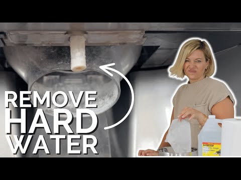 How to Clean Your Fridge’s Water Dispenser