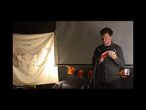 An Eclipse of Moths - Clip