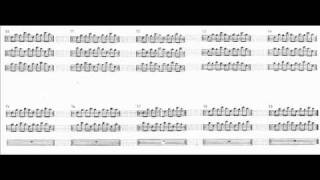 Steve Reich,  Reed Phase; Klaas Hoek, reed organ mustel harmonium