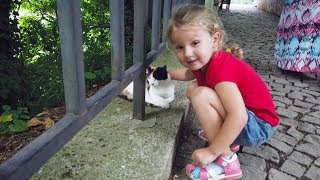 Cute Toddler meets Cat in the street