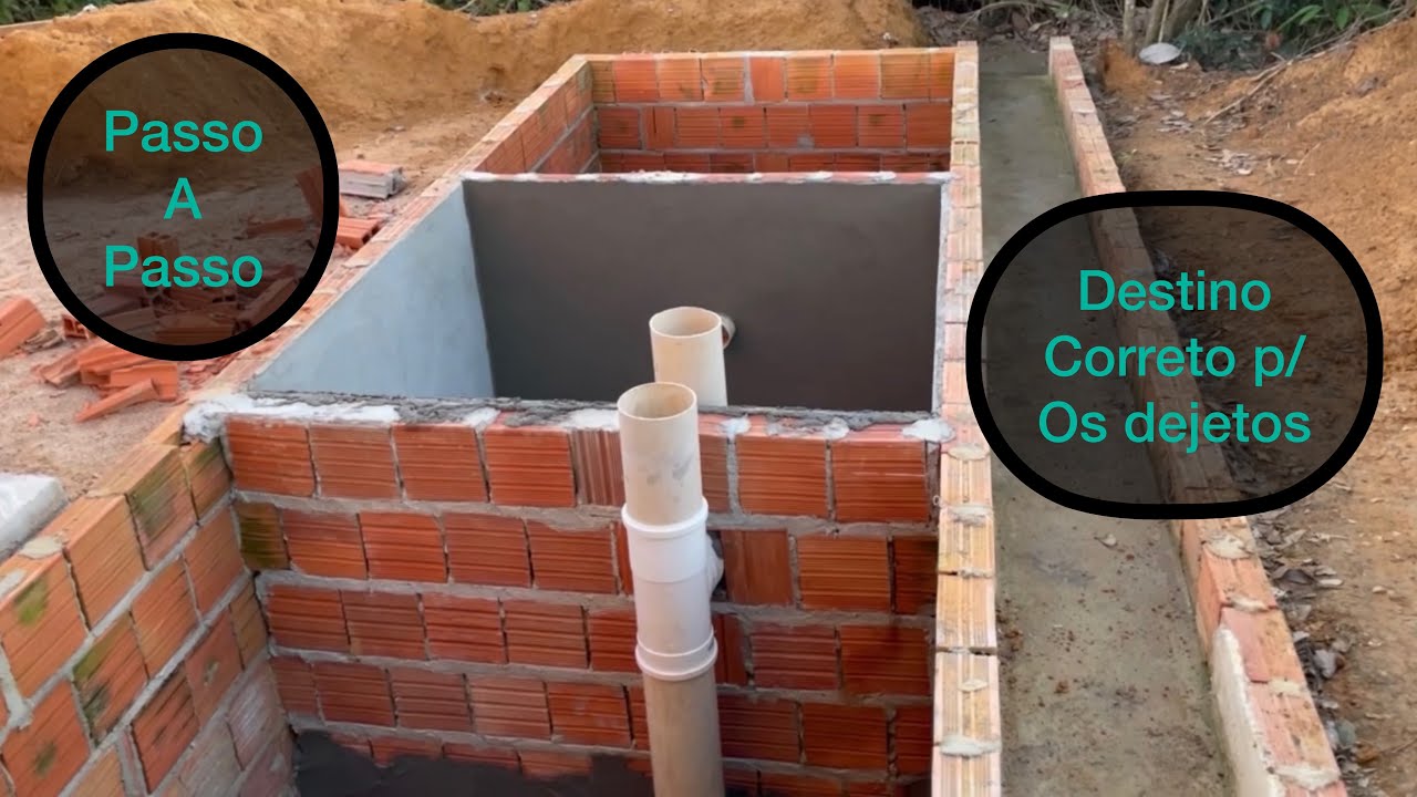 Fossa séptica para suínos ( porcos )