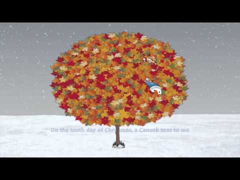 A Moose in a Maple Tree - The All Canadian 12 Days of Christmas