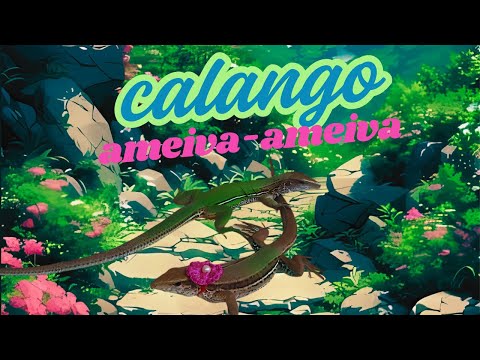 Calango Ameiva-Ameiva meu pet de estimação.