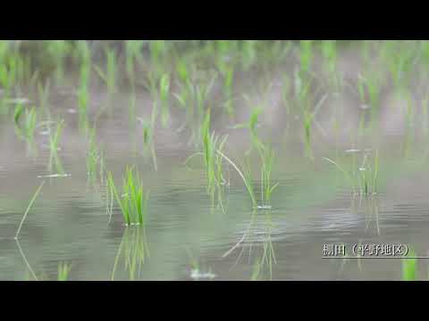 TAKU Special Movie【自然編】（佐賀県多久市）