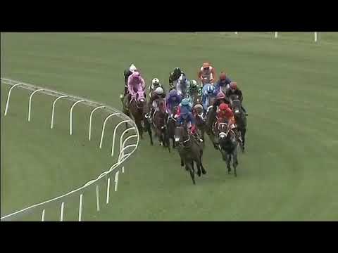 2019.02.02 Gauteng Fillies Guineas (RSA) - Nafaayes