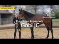 Gabi &ndash; Le charisme et l&rsquo;&eacute;quilibre au naturel