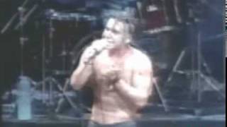 Cintura Fina - Raimundos / AO VIVO 1994