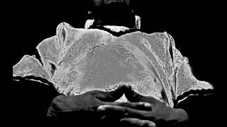 Rufus Harley - Taurus the 20th (R. Harley)