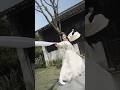 Movie Scenes Shorts Ytshorts Viralvideo Movishortviral Clipboxx79 Movieshorts Movieclips