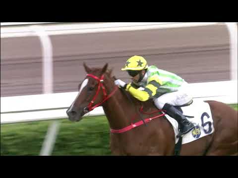 11/7/2021 (826) Blaze Warrior - J Moreira