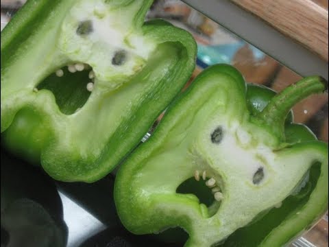 20 Hilarious Examples Of Pareidolia