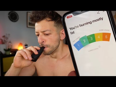 Doctor reviews Lumen Metabolism Tracker (Unbiased analysis)